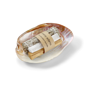 ערכת טיהור אמא אדמה